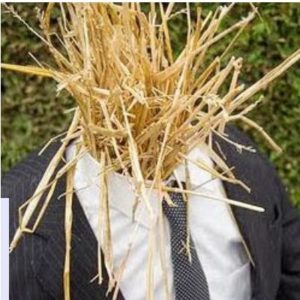 straw men