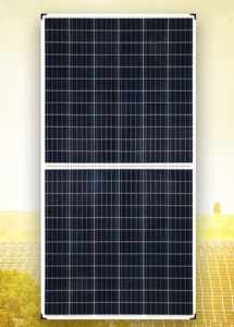 bifacial